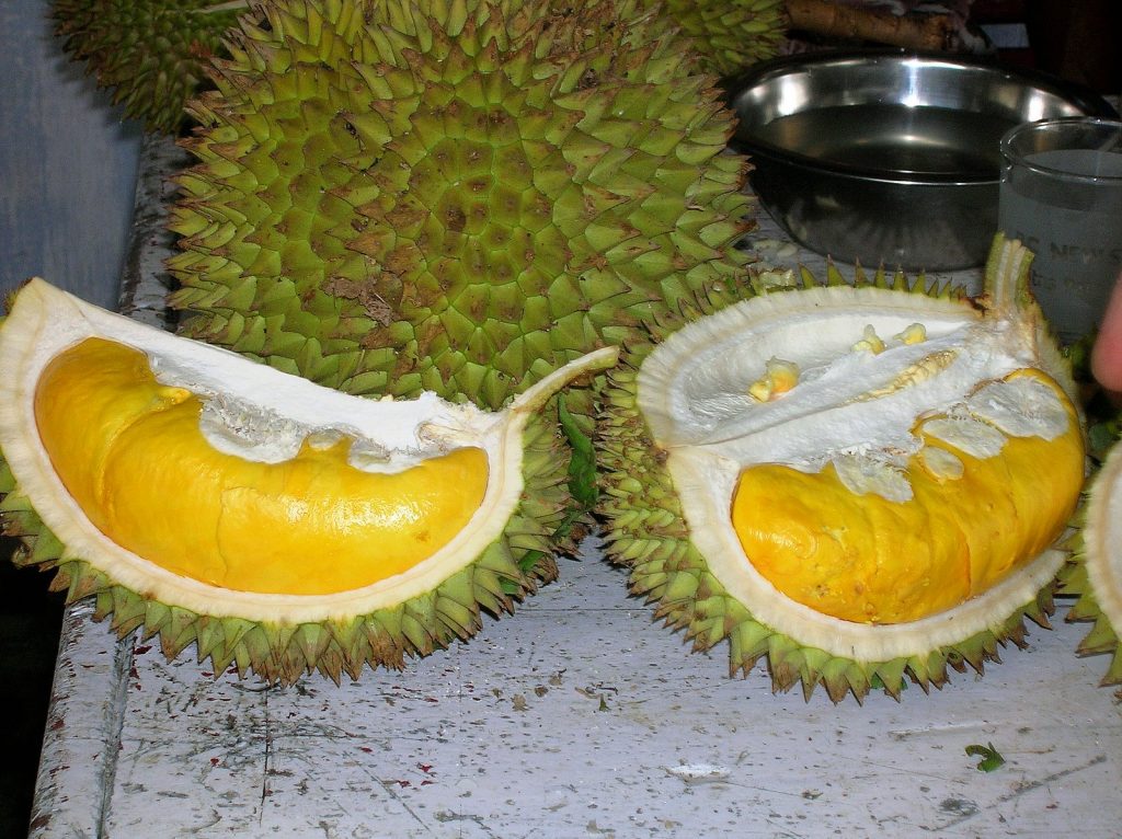 Le durian fruit