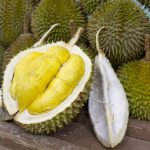 Le Durian - Voyage au Cambodge